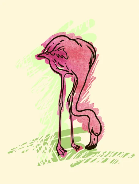 Flamingo-Vogel bemalt — Stockvektor