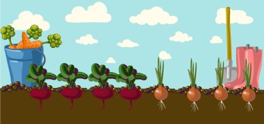 stilize sebze izole ayarla