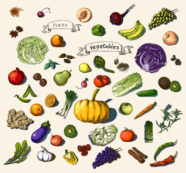 Verduras pintadas a mano, frutas — Vector de stock