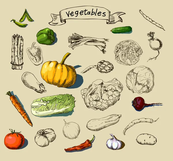 Розписані овочі — стоковий вектор