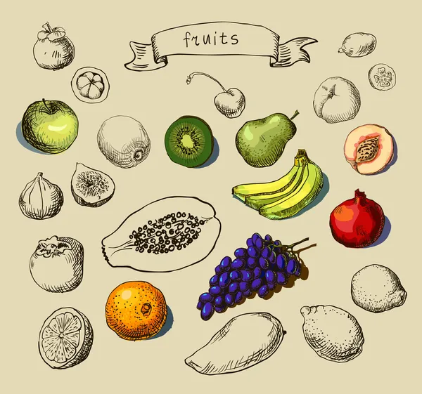 Conjunto de Frutas Doodle — Vetor de Stock