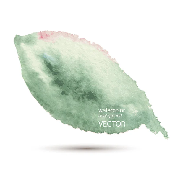Watercolor green leaf design element. — Stock Vector