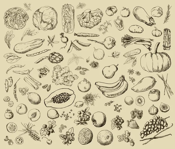 Warzywa, owoce, przyprawy, zioła — Wektor stockowy