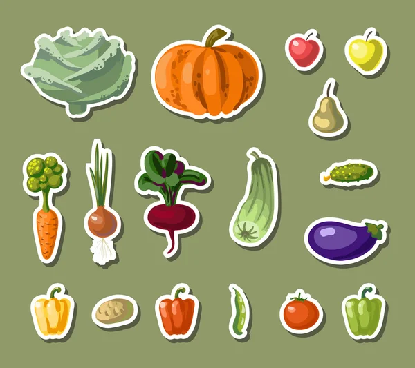 Root veggies — Stock Vector