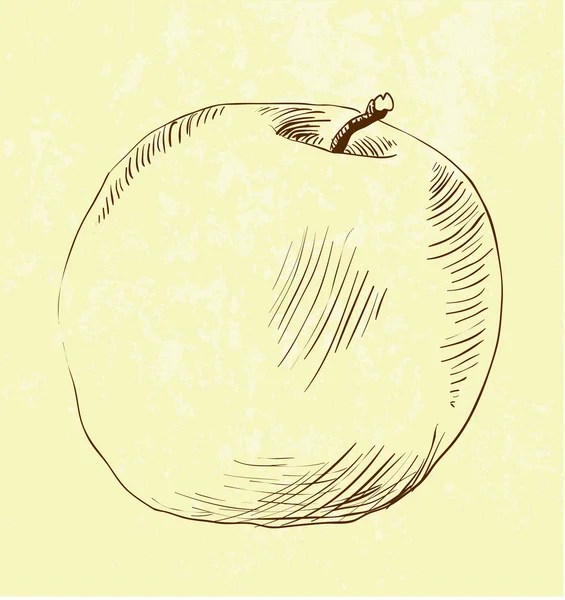 Handgezeichnete Illustration des Apfels — Stockvektor