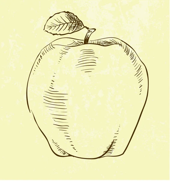 Ilustración dibujada a mano de manzana — Archivo Imágenes Vectoriales