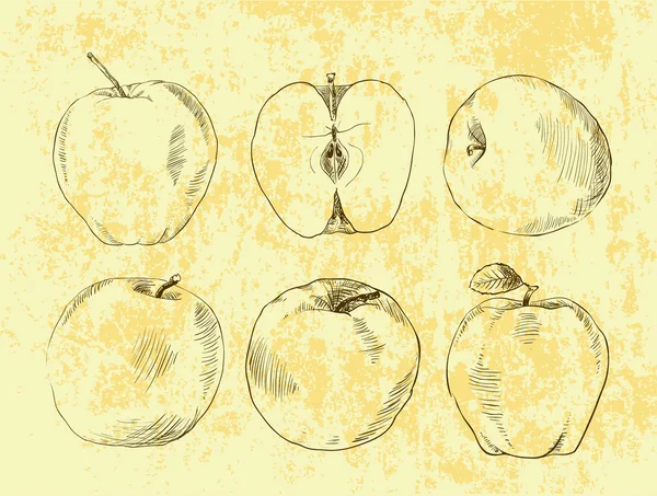 Ensemble d'illustrations vintage de pommes — Image vectorielle