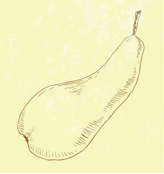 Illustration of pear — Stock Vector