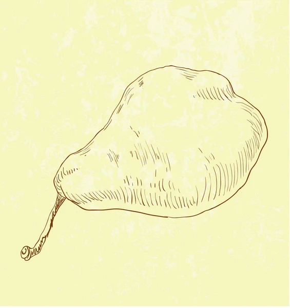 Illustrazione della pera — Vettoriale Stock