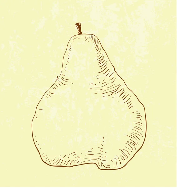 Illustration de poire — Image vectorielle