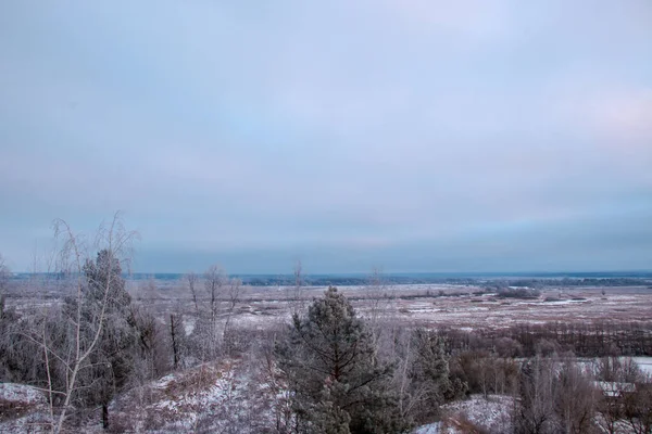 Prachtig Winterlandschap Een Boom Bedekt Met Witte Vorst Een Besneeuwd — Stockfoto