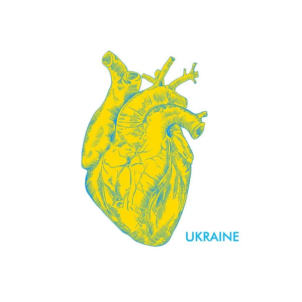 Ukrajina Vlajka Ikona Tvaru Srdce Izolované Bílém Koncept Záchrany Ukrajiny — Stockový vektor