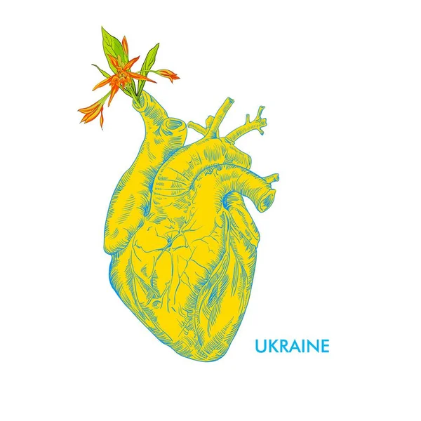 Ukraine Flag Icon Heart Shape Isolated White Concept Saving Ukraine — Stockový vektor