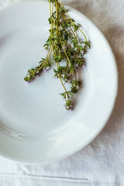 Tabaktaki kekik, masa örtüsünün üzerinde. Şifalı otları kapat. Hipster baharatları, güzel arka plan, doğal ışık.