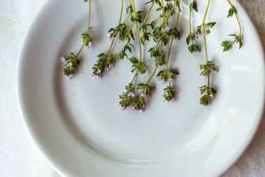 Tabaktaki kekik, masa örtüsünün üzerinde. Şifalı otları kapat. Hipster baharatları, güzel arka plan, doğal ışık.