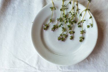 Tabaktaki kekik, masa örtüsünün üzerinde. Şifalı otları kapat. Hipster baharatları, güzel arka plan, doğal ışık.
