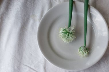 İki yeşil soğan çiçeği beyaz bir tabakta, masa örtüsünde yatıyor. Doğal ışık, güzel arkaplan tasarımınız için yer var.