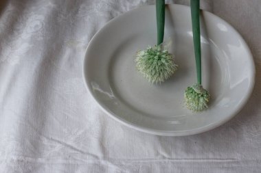 İki yeşil soğan çiçeği beyaz bir tabakta, masa örtüsünde yatıyor. Doğal ışık, güzel arkaplan tasarımınız için yer var.