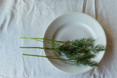 Beyaz bir tabakta taze yeşil dereotu, açık arkaplan. Evde bitki ve baharat kullanma kavramı... doğal ışık, güzel bir arka plan ve tasarımın için alan.