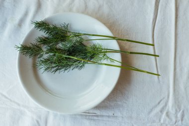 Beyaz bir tabakta taze yeşil dereotu, açık arkaplan. Evde bitki ve baharat kullanma kavramı... doğal ışık, güzel bir arka plan ve tasarımın için alan.