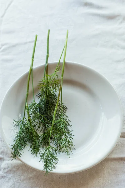 Fresh Green Dill White Plate Light Background Concept Using Herbs — Stock Photo, Image