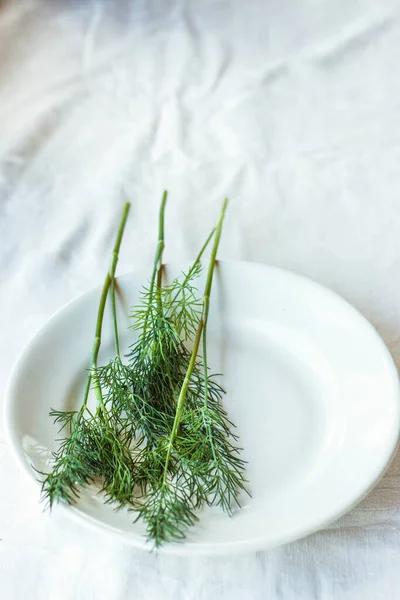 Fresh Green Dill White Plate Light Background Concept Using Herbs — Stock Photo, Image