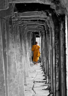 Budist rahip, angkor wat, cambodia