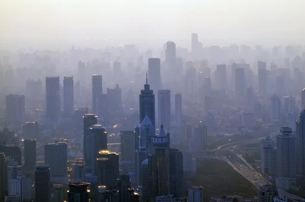 Cidade grande - panorama Imagem De Stock