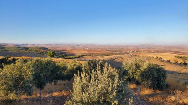 Antik tapınak kompleksi Gbeklitepe 'nin çevresi.
