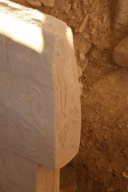 Serginin altında yer alan antik tapınak kompleksi Gbeklitepe sergisi.