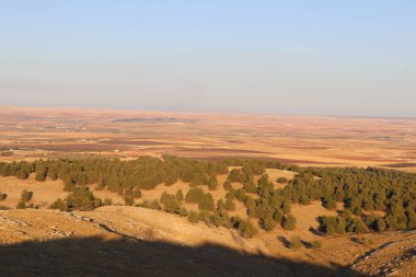 Gbeklitepe tapınağı kompleksinin çevresi.