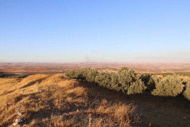 Gbeklitepe tapınağı kompleksinin çevresi.