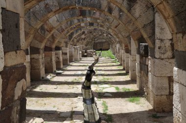 İzmir 'in İzmir kentinde İzmir Açık Hava Müzesi.