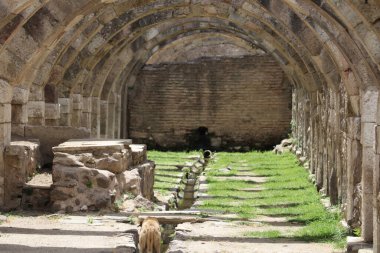 İzmir 'in İzmir kentinde İzmir Açık Hava Müzesi.