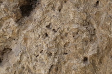 İzmir 'in İzmir kentinde İzmir Açık Hava Müzesi.