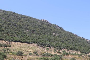 Türkiye 'deki antik ephesus şehri..