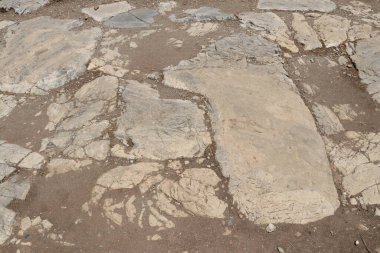 Türkiye 'deki antik ephesus şehri..