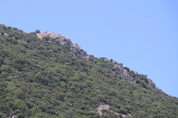 Türkiye Deki Antik Ephesus Şehri — Stok fotoğraf