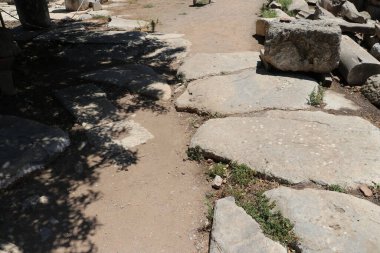 Türkiye 'deki antik ephesus şehri..