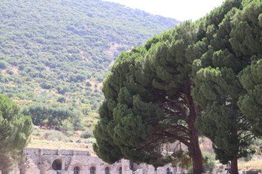 Türkiye 'deki antik ephesus şehri..