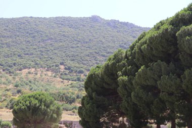 Türkiye 'deki antik ephesus şehri..