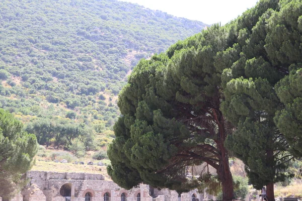 Türkiye Deki Antik Ephesus Şehri — Stok fotoğraf