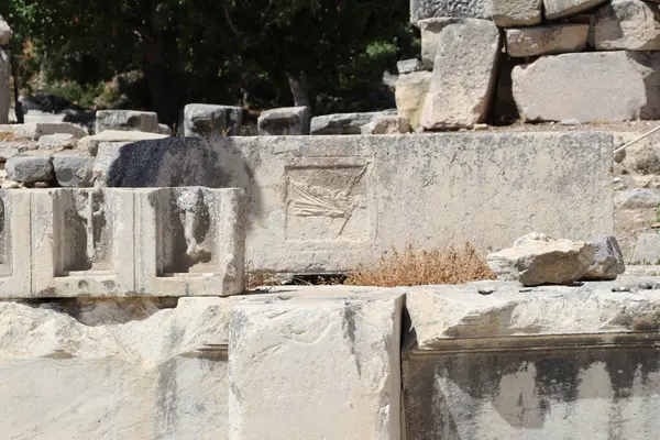 Türkiye 'deki antik ephesus şehri..