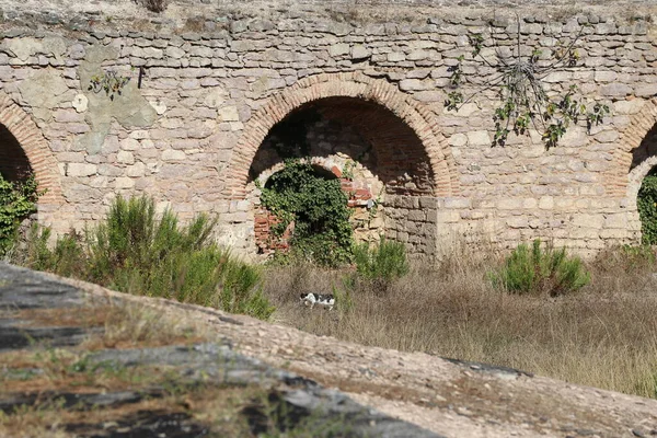 Hvězdná Pevnost Kilyos Istanbulu — Stock fotografie