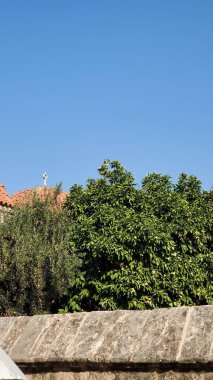 Türkiye 'nin Adana kenti, camiler ve İslam merkezi.