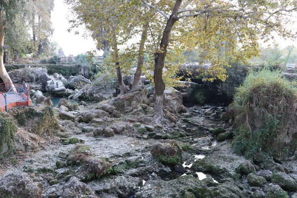 Tarsus şelalesi. Tarsus Şelalesi, Tarsus şehrinin kuzey eteklerinde, O-51 karayolu yakınında, Türkiye 'nin güneyinde yer almaktadır..