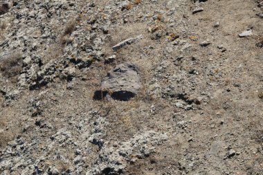 Türkiye 'deki Boğaz kıyısındaki antik Rumeli Feneri kalesi.