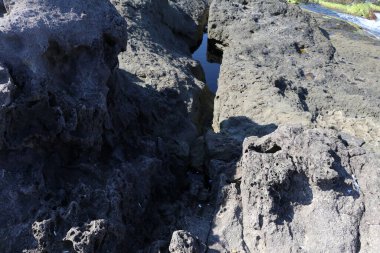 Türkiye 'deki Boğaz kıyısındaki antik Rumeli Feneri kalesi.