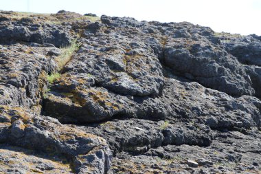 Türkiye 'deki Boğaz kıyısındaki antik Rumeli Feneri kalesi.