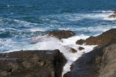 Türkiye 'deki Boğaz kıyısındaki antik Rumeli Feneri kalesi.